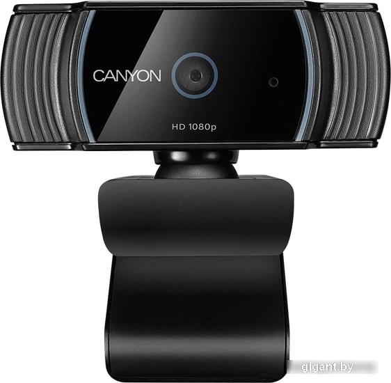 Web камера Canyon CNS-CWC5